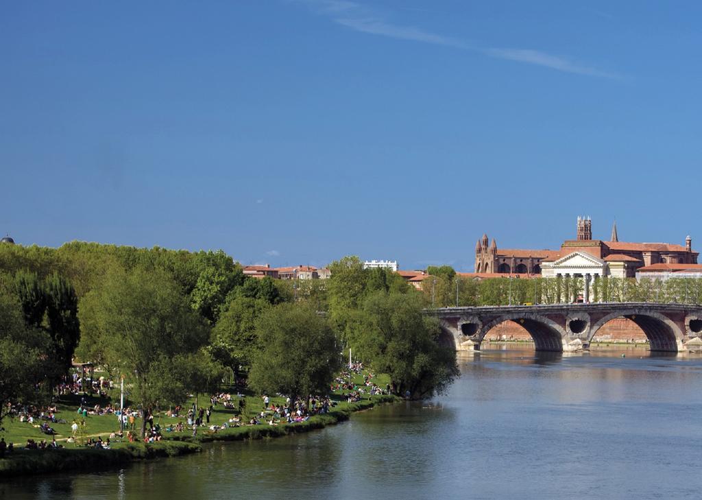 Le Clos Des Violettes Toulouse Luaran gambar