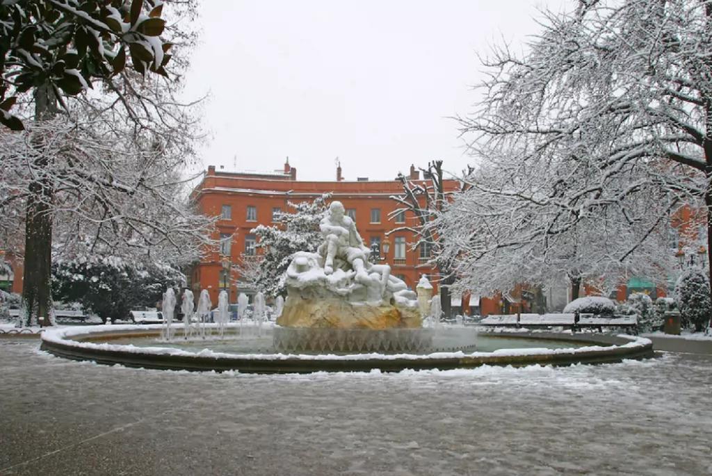 Le Clos Des Violettes Toulouse Luaran gambar